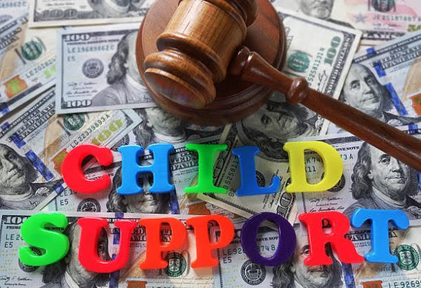 Child Support Process 