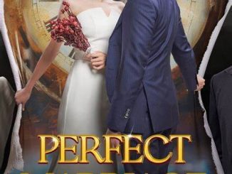 Perfect Marriage Revenge