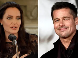 The Brangelina Divorce