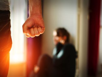 Florida Domestic Violence Laws