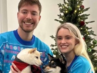 MrBeast Engaged to Influencer Thea Booysen