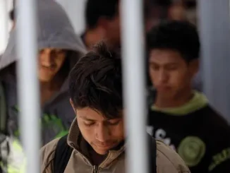 Illegal Immigration a Civil or Criminal Offense