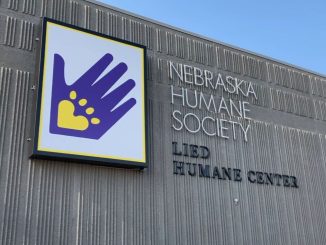 Nebraska Humane Society Adoption