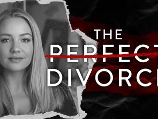 The Perfect Divorce