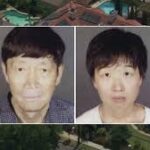 The Arcadia Couple’s Surrogacy