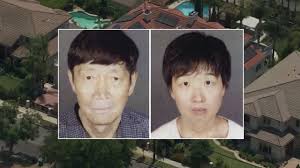 The Arcadia Couple’s Surrogacy