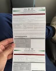 Cancun Immigration Form