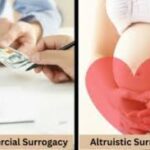 Commercial vs. Altruistic Surrogacy